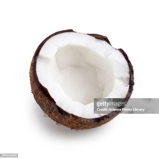 half a coconut - coco fotografías e imágenes de stock