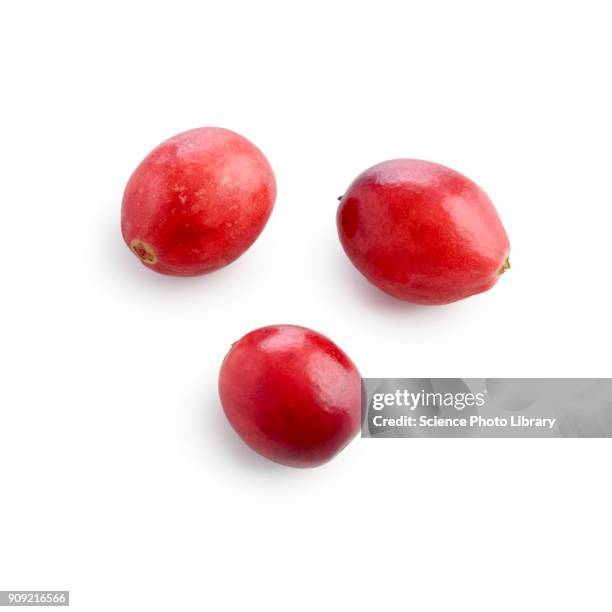 cranberries - cranberry stock pictures, royalty-free photos & images