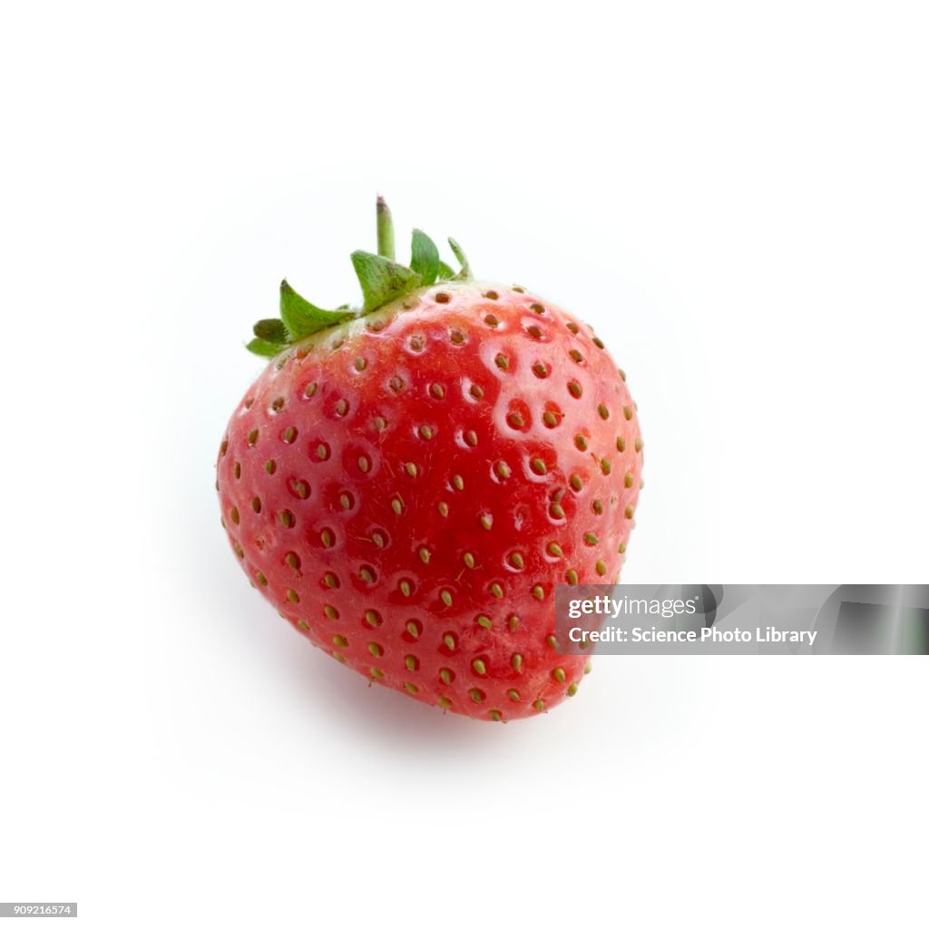 Strawberry