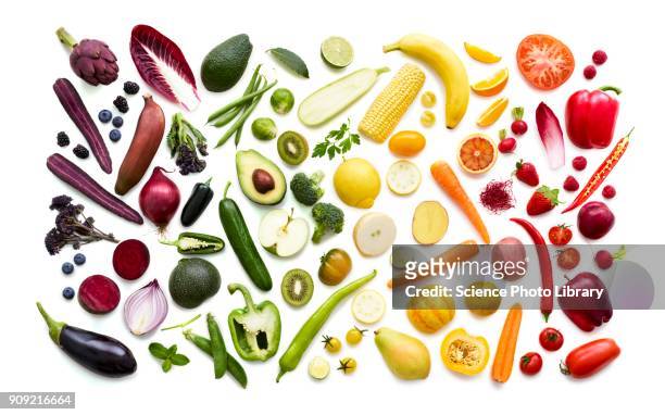 fresh fruit and vegetables - vegetable imagens e fotografias de stock