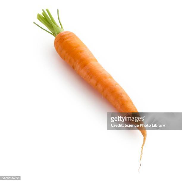 orange - carrot stock pictures, royalty-free photos & images
