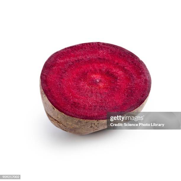 half a beetroot - beet stock pictures, royalty-free photos & images