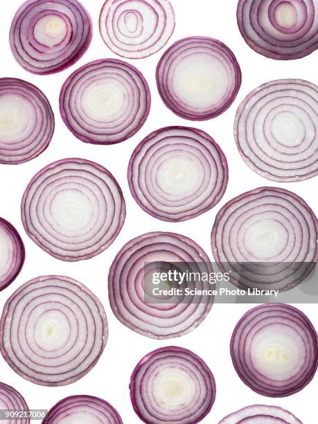 red onion slices - red onion stockfoto's en -beelden