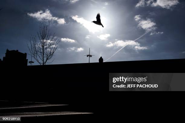 Bird flies past as a man sitting along the Rhone river in Lyon on January 23, 2018. / AFP PHOTO / JEFF PACHOUD