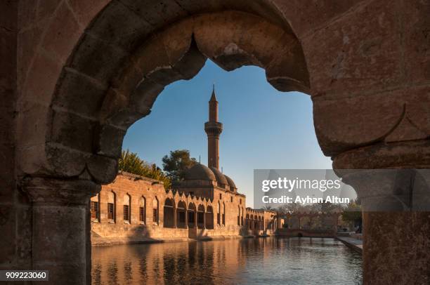 pool of abraham with rizvaniye mosque,sanliurfa,south east anatolia of turkey - şanlıurfa stock pictures, royalty-free photos & images