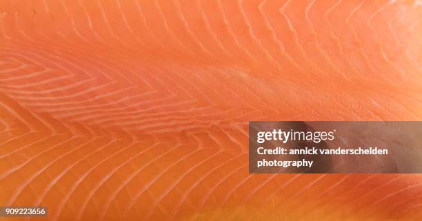 smoked salmon. - smoked salmon stock pictures, royalty-free photos & images