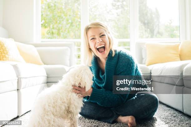 playful woman with her dog in living room - dog sweater stock pictures, royalty-free photos & images