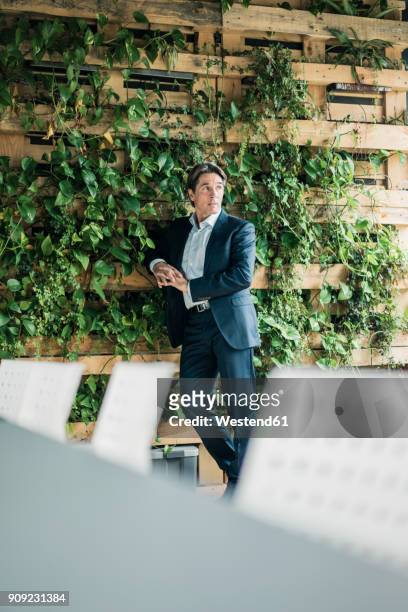 businessman standing in green office - garden office bildbanksfoton och bilder