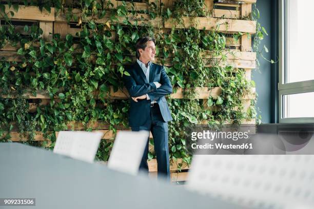 businessman in green office looking out of window - green wood photos et images de collection
