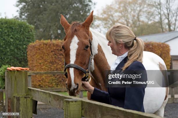 attractive blond woman with her skewbald horse and a few carrots. - skewbald stock pictures, royalty-free photos & images