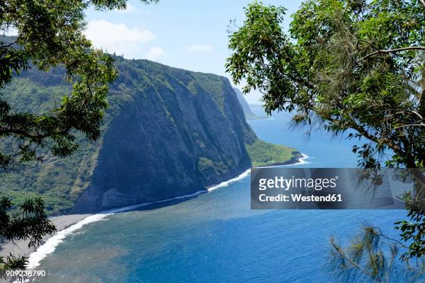 usa, hawaii, big island, coast of waipio valley - waipio valley stockfoto's en -beelden