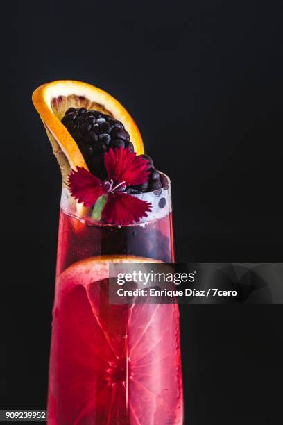 ruby red grapefruit cocktail with frozen blackberries - ruby grapefruit stock pictures, royalty-free photos & images