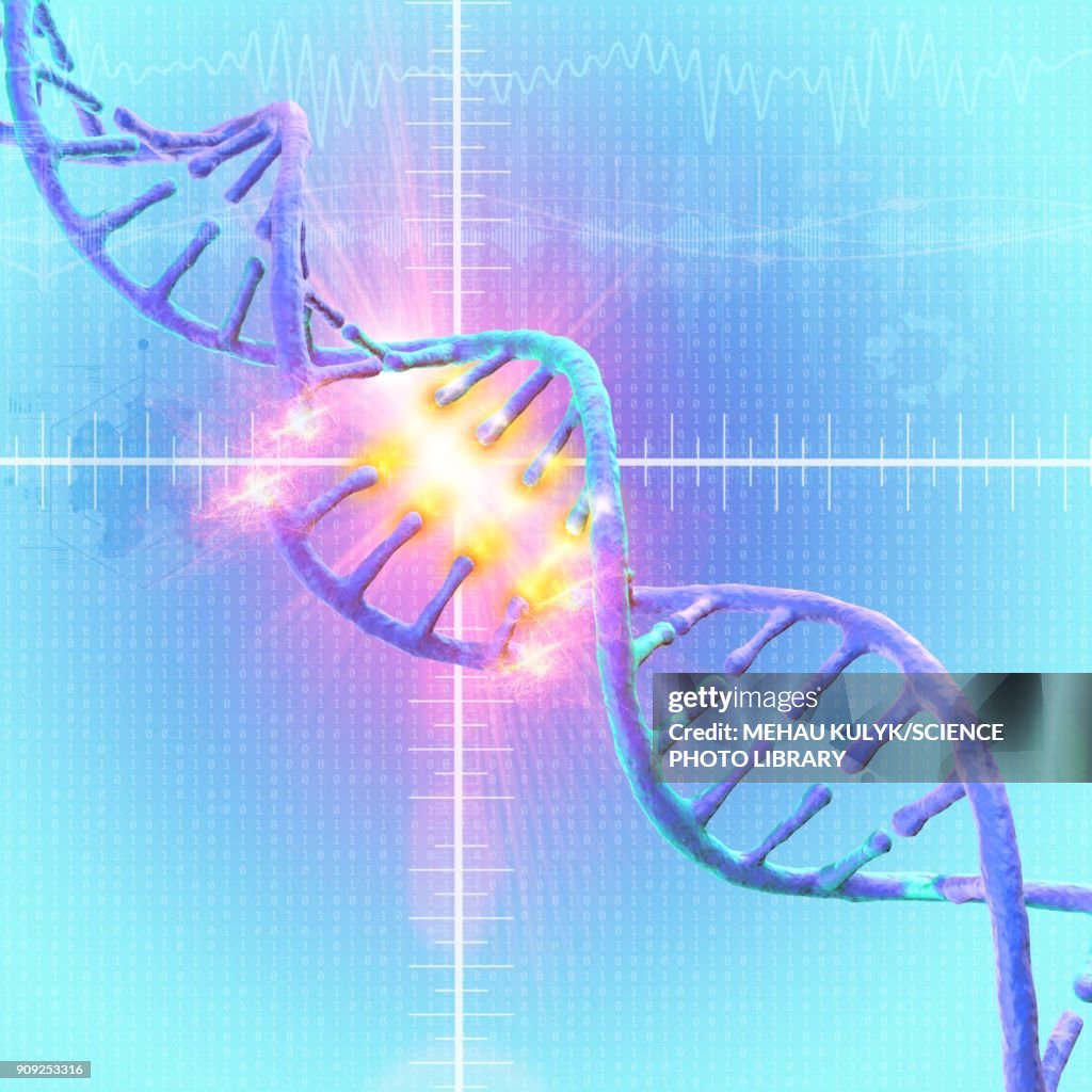Dna Damage Illustration High Biology Diagrams