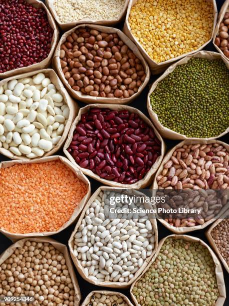 pulses in paper bags - leguminosas fabales fotografías e imágenes de stock