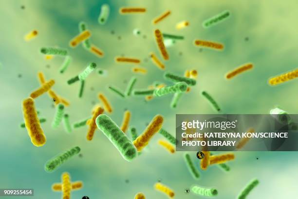 bacteria in water, illustration - bacterium stock illustrations