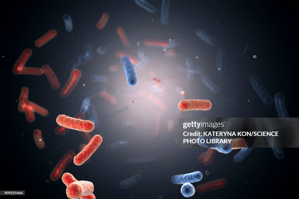 Can Bacteria Survive In Hot Water at Janet Simmons blog