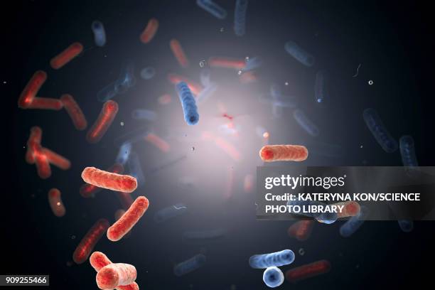 bacteria in water, illustration - shigella stock illustrations
