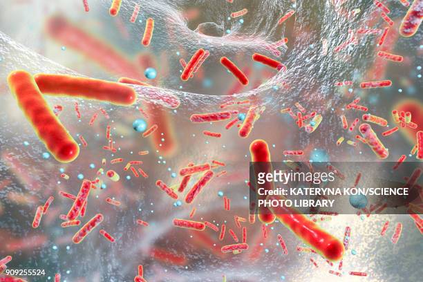 bacteria in a biofilm, illustration - salmonella bacteria stock-grafiken, -clipart, -cartoons und -symbole