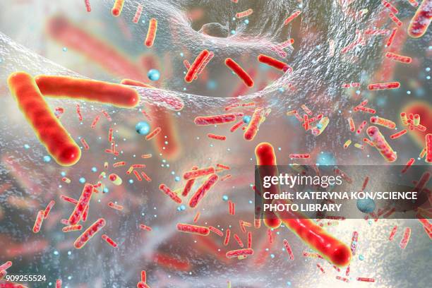 stockillustraties, clipart, cartoons en iconen met bacteria in a biofilm, illustration - salmonella bacterium