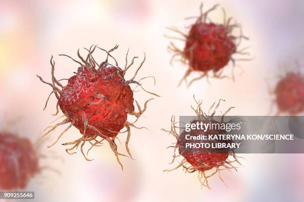 dendritic cells, illustration - macrophage stock illustrations