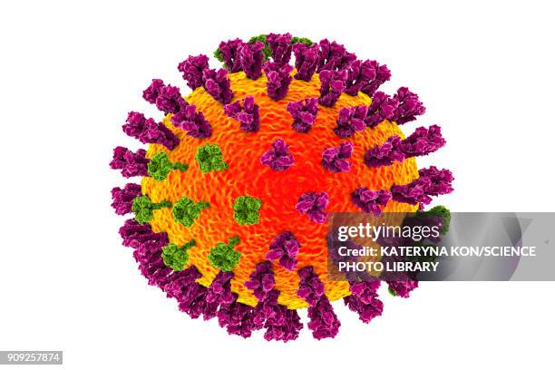 influenza viruses illustration - glycoprotein stock illustrations