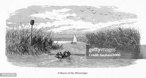 mississippi river bayou, louisiana, united states, american victorian engraving, 1872 - louisiana swamp stock illustrations