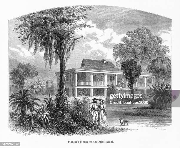 planter’s house on the mississippi river at new orleans, louisiana, united states, american victorian engraving, 1872 - plantation house porch stock illustrations