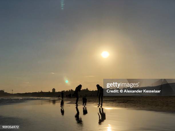 wanda beach sunset - alexander kesselaar stock-fotos und bilder