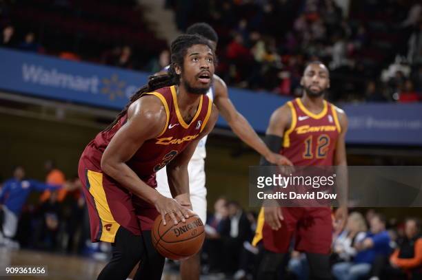 Marcus Thornton of the Canton Charge shoots a free throw against the Westchester Knicks on January 23, 2018 in White Plains, New York. NOTE TO USER:...