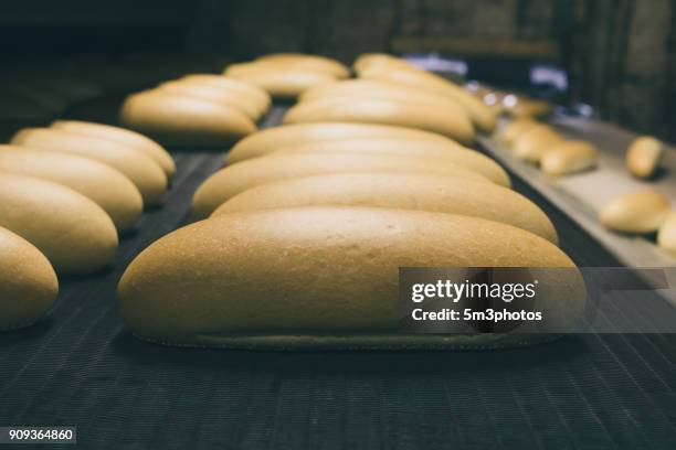 fresh bread in bakery factory - boulangerie industrielle photos et images de collection