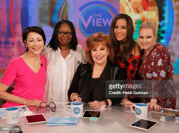 Ann Curry is the guest co-host today, Tuesday, January 23, 2018 on Walt Disney Television via Getty Images's "The View." "The View" airs...
