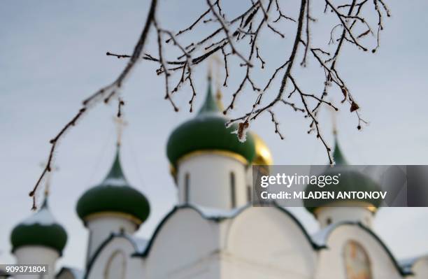 Photograph taken on January 23, 2018 shows frozen branches in front of a church in Suzdal. / AFP PHOTO / Mladen ANTONOV