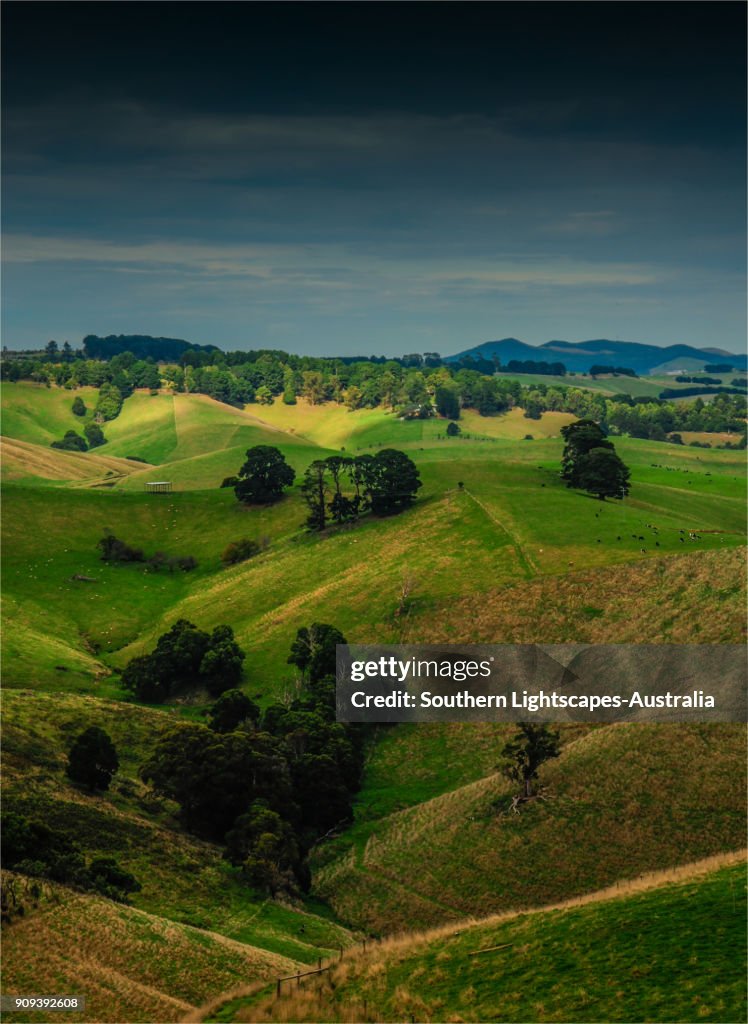 Dumbalk Countryside Views In The Dumbalk Dollar Hills Leongatha District South ...