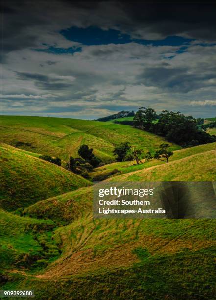 Dumbalk 102 Dumbalk Victoria Stock Photos, High-Res Pictures, and Images ...