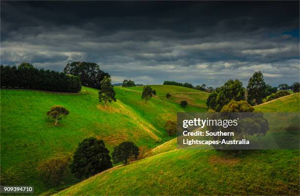 Dumbalk 102 Dumbalk Victoria Stock Photos, High-Res Pictures, and Images ...