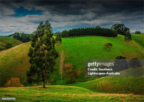 Dumbalk 102 Dumbalk Victoria Stock Photos, High-Res Pictures, and Images ...