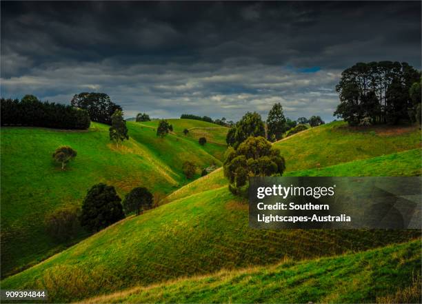Dumbalk 1,897 Leongatha Victoria Stock Photos, High-Res Pictures, and Images ...