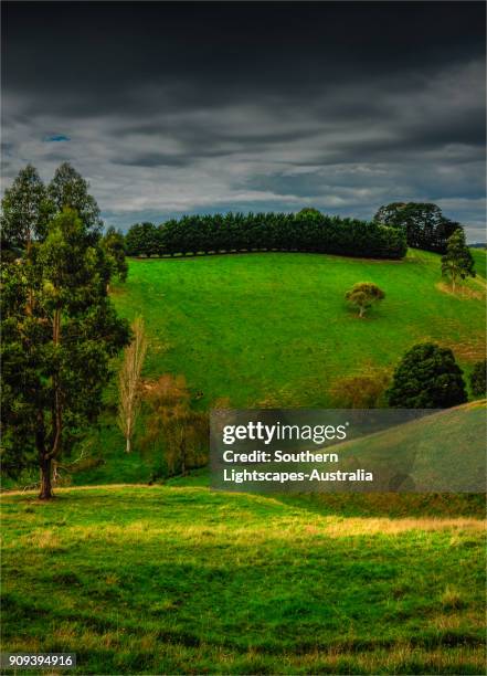 Dumbalk 102 Dumbalk Victoria Stock Photos, High-Res Pictures, and Images ...