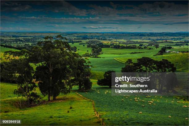 Dumbalk 102 Dumbalk Victoria Stock Photos, High-Res Pictures, and Images ...