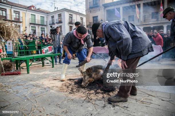 Once the pig is dead and bled, it burns its body several times to eliminate its hair. Rite that has been maintained since ancient times. Burgo de...