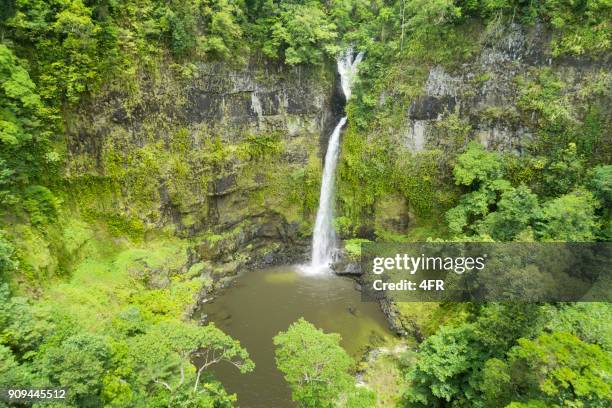 nandroya falls, queensland, australia - millaa millaa waterfall stock pictures, royalty-free photos & images