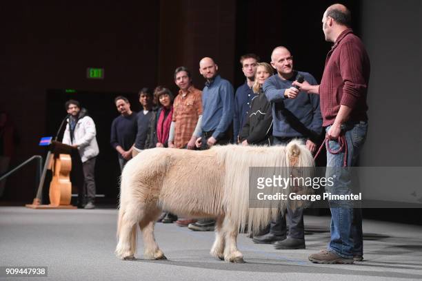 Robert Pattinson, Mia Wasikowska, David Zellner, and Nathan Zellner speak onstage alongside Daisy the horse during the "Damsel" Premiere during the...