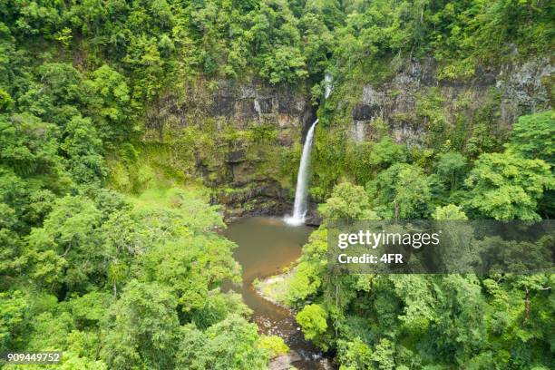 nandroya falls, queensland, australie - chutes millaa millaa photos et images de collection