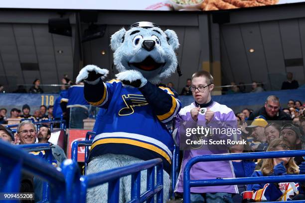 St Louis Blues Mascot Photos and Premium High Res Pictures - Getty Images