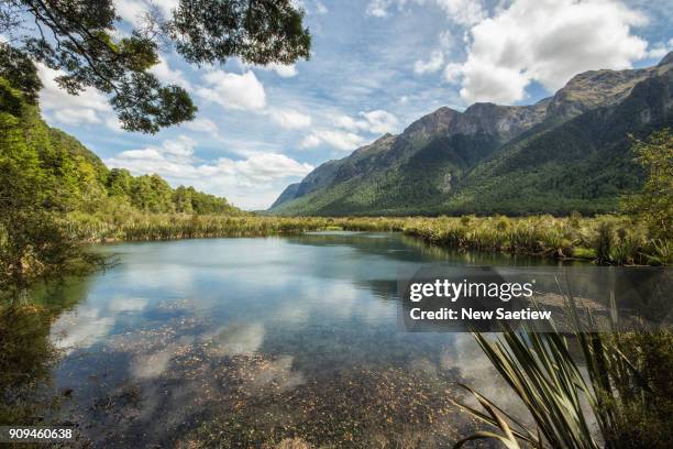 mirror lakes in the fiordland national park of new zealand. - te anau stock pictures, royalty-free photos & images