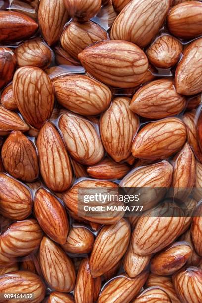 almonds being softened in water to create almond milk - drenched stock pictures, royalty-free photos & images