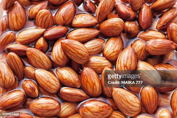 almonds being softened in water to create almond milk - empapado fotografías e imágenes de stock