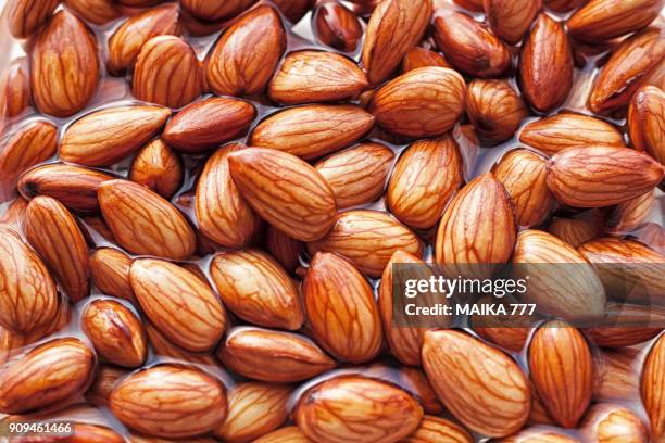 almonds being softened in water to create almond milk - blended drink stock pictures, royalty-free photos & images