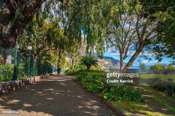 funchal - madeira, portugal - city park funchal med utsikt över havet - funchal bay bildbanksfoton och bilder