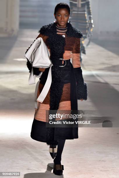 Model walks the runway during the Proenza Schouler Ready To Wear Fall Winter 2018 show as part of Paris Fashion Week on January 22, 2018 in Paris,...